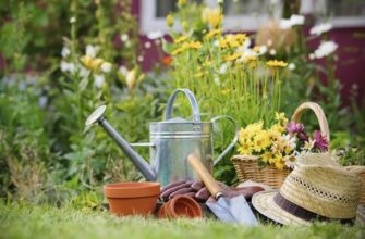 5 Советов для успешного сезона на даче