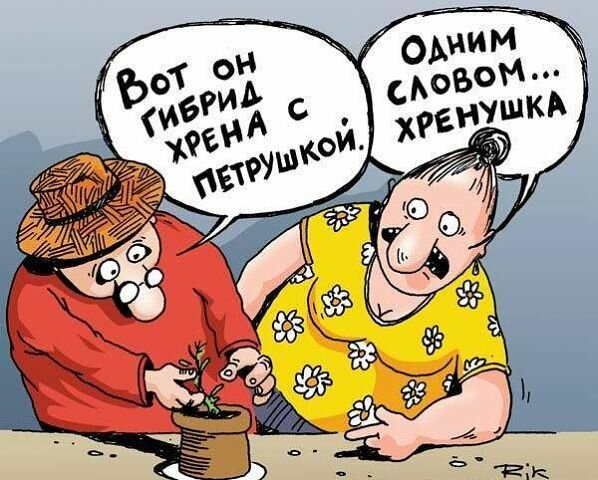 "Дикие дачники" - немного юмора 10