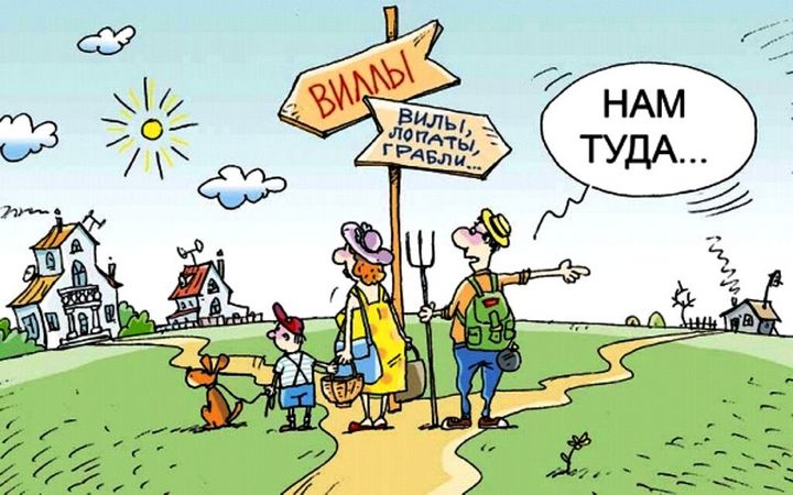 "Дикие дачники" - немного юмора 12