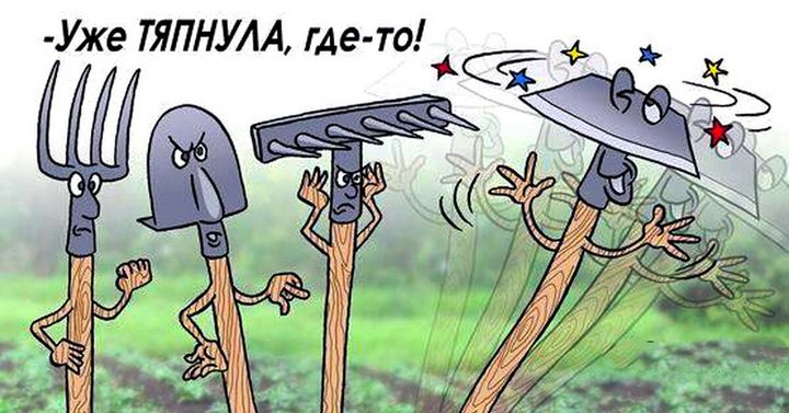 "Дикие дачники" - немного юмора 16