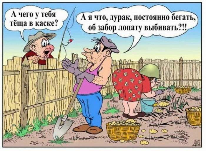 "Дикие дачники" - немного юмора 3