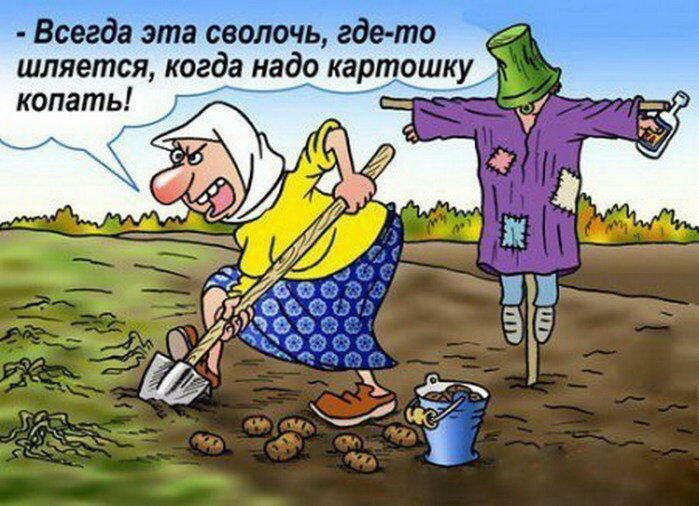 "Дикие дачники" - немного юмора 4