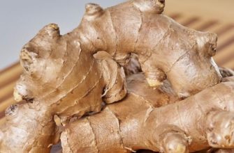 История возникновения и использования имбиря