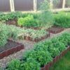 Из чего сделать грядки, несколько интересных вариантов