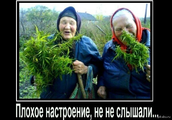 На даче без юмора никак... 7