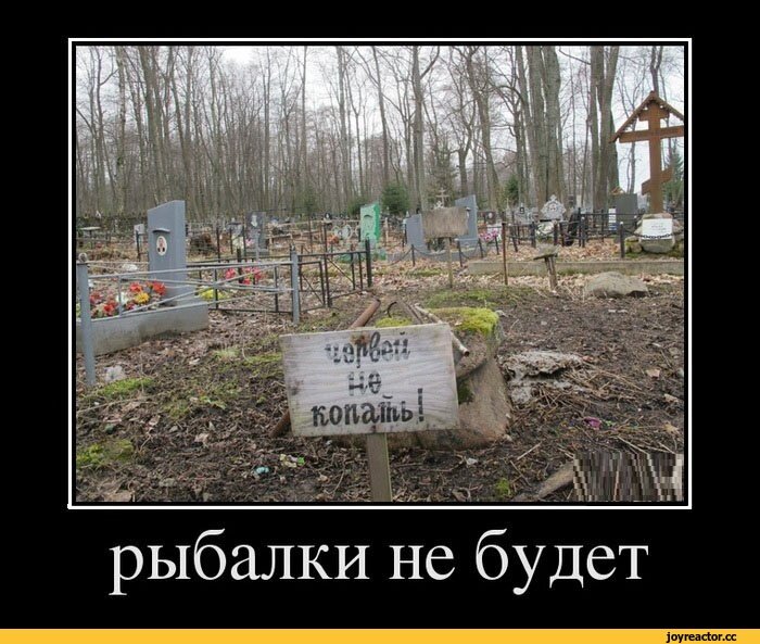 На даче без юмора никак... 18