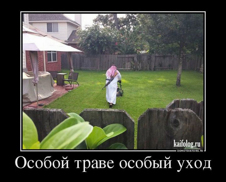 На даче без юмора никак... 9