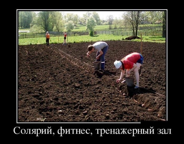 На даче без юмора никак... 2