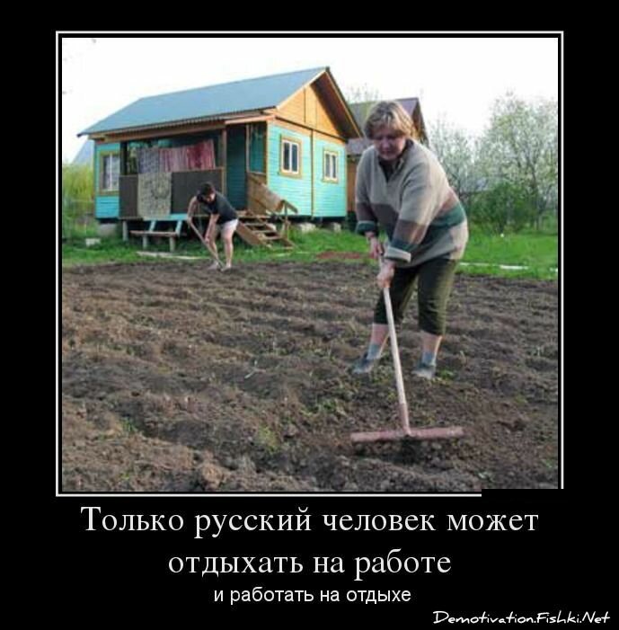 Немного юмора про дачу 2