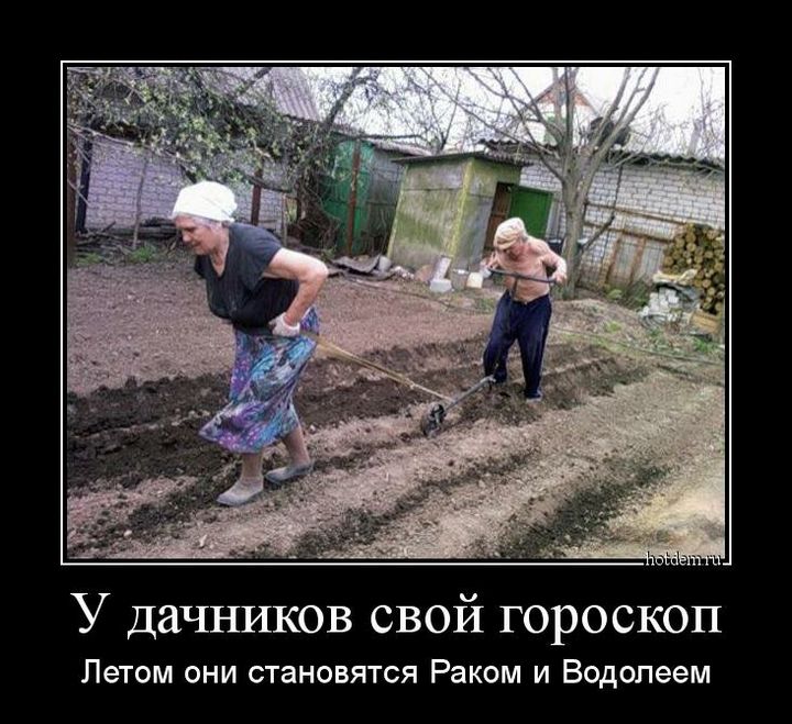 Немного юмора про дачу 15