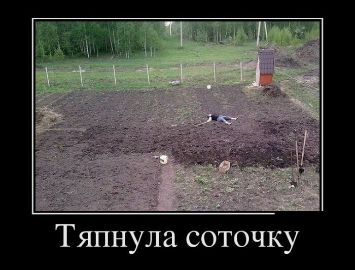 Немного юмора про дачу 9