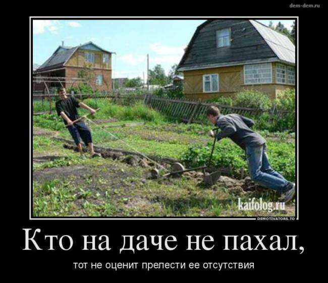 Немного юмора про дачу 18