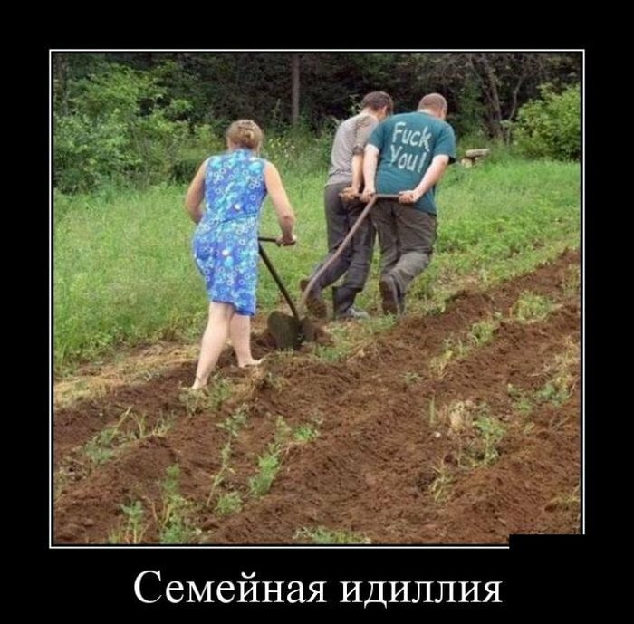 Немного юмора про дачу 11