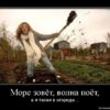 Немного юмора про дачу