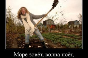 Немного юмора про дачу Немного юмора про дачу