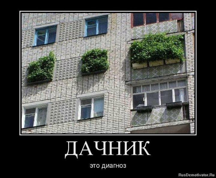 Немного юмора про дачу 5