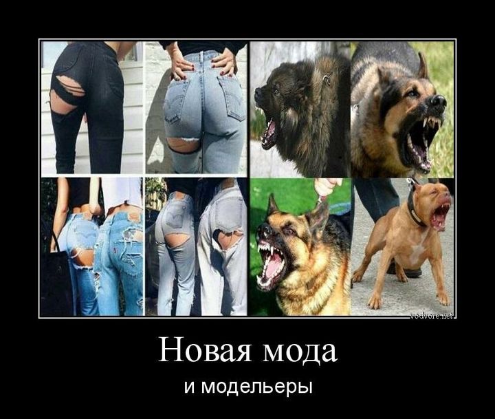 Немного юмора 20