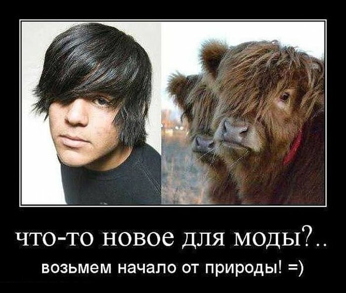 Немного юмора 23