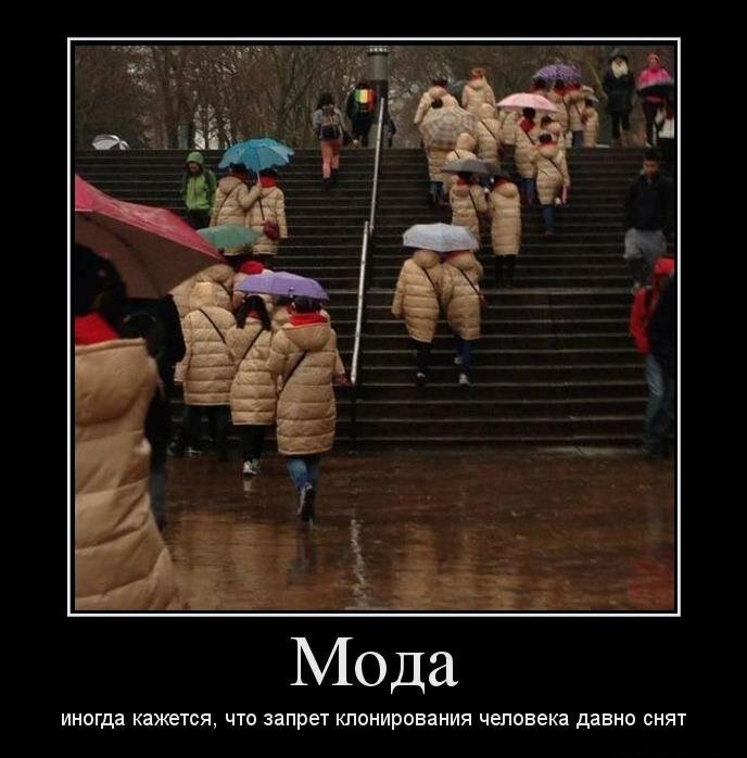 Немного юмора 6