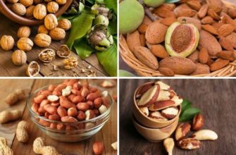 Незаменимая польза орехов