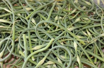 Полезные свойства стрелок чеснока