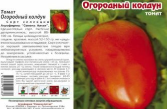 Устойчивые сорта томатов, не требующие большого ухода Устойчивые сорта томатов, не требующие большого ухода
