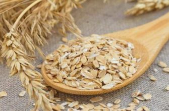 В чем польза овса для кожи