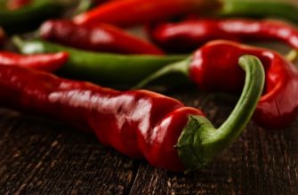 Жгучий перец: стоит ли его употреблять?
