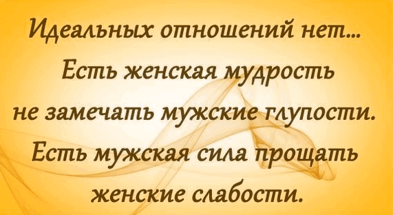 Жизнь со смыслом... 16