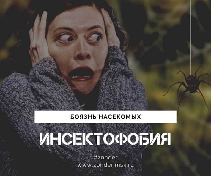 Методы борьбы с фобией насекомых