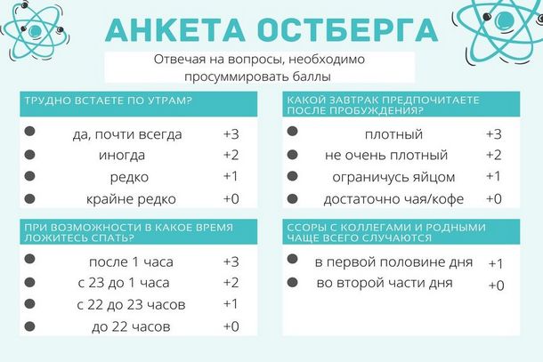 Хронотип: определение и способы определить свой хронотип Хронотип: определение и способы определить свой хронотип