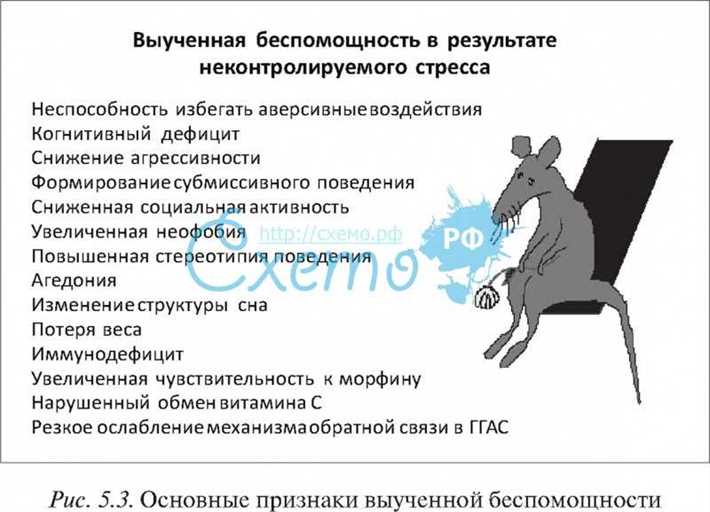 Как преодолеть выученную беспомощность: самый эффективный подход Последствия выученной беспомощности