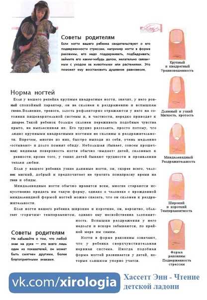 Прямоугольная форма