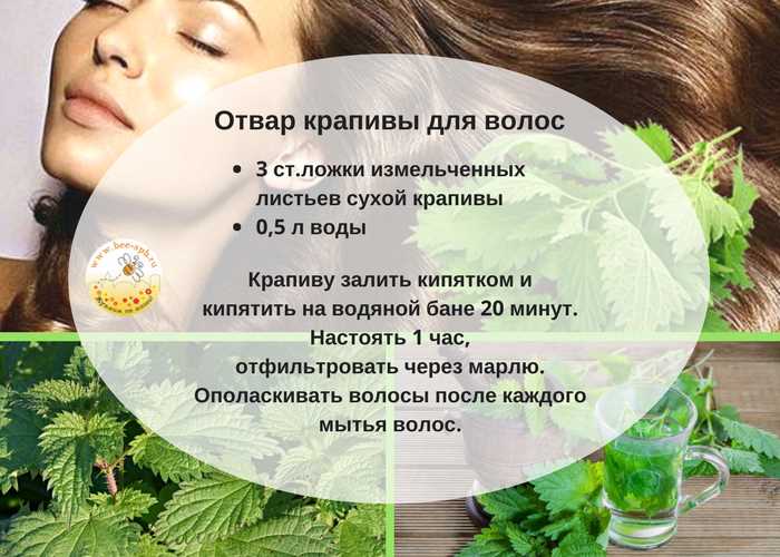 Полезные рецепты с крапивой для волос