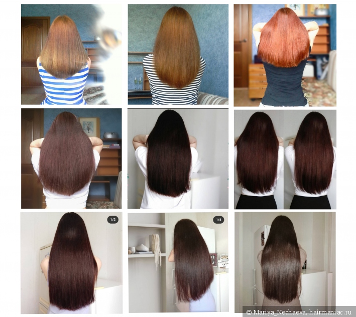 5 лет на хне. Стоит ли делать маски с хной. Может ли косметика давать  эффект как от хны / Травы для волос / Hairmaniac — сообщество об уходе за  волосами 5 лет на хне. Стоит ли делать маски с хной. Может ли косметика давать  эффект как от хны / Травы для волос / Hairmaniac — сообщество об уходе за  волосами