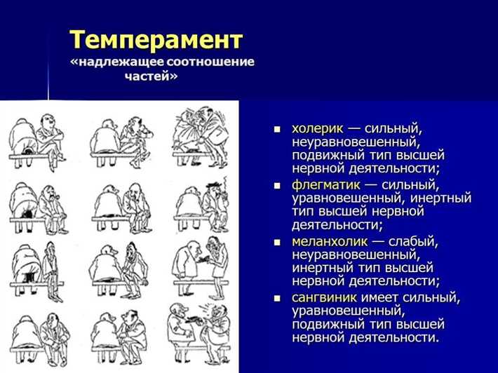 Особенности и советы для смешанного типа холерик-сангвиник: особенности и рекомендации Сангвиники