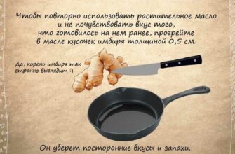 Как победить робость: полезные советы и методы Как победить робость: полезные советы и методы