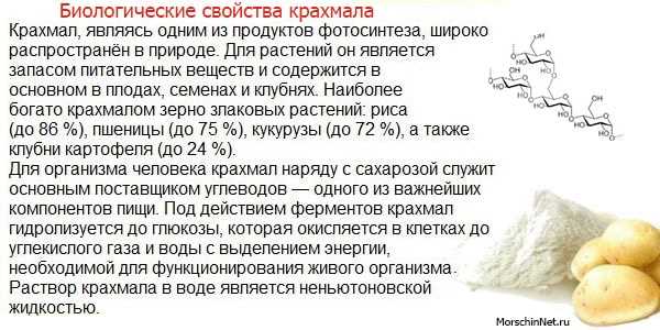 Изучение проблемы