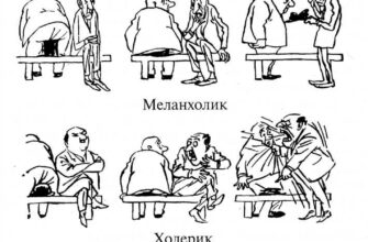 Сангвиник-флегматик – особенности смешанного темперамента Сангвиник-флегматик – особенности смешанного темперамента