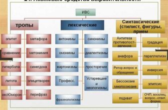 Внимание — что это такое, какие виды есть и какие у него свойства?